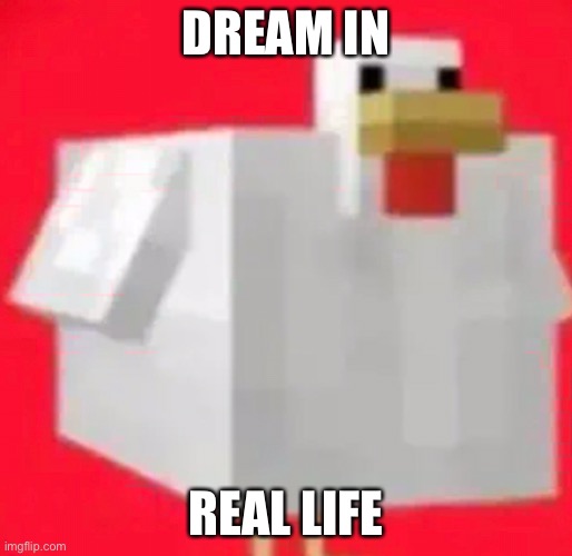 this is probably what dream looks like | DREAM IN; REAL LIFE | image tagged in dream stans are bad | made w/ Imgflip meme maker
