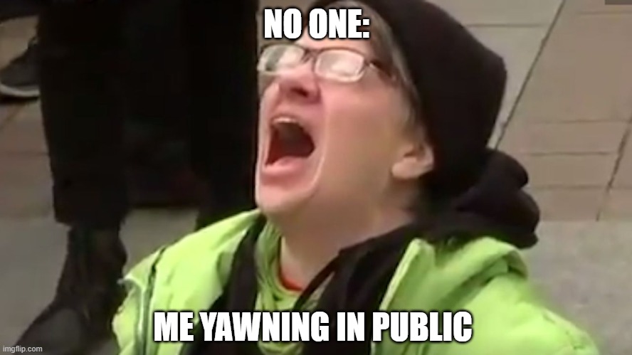 Screaming Liberal  | NO ONE:; ME YAWNING IN PUBLIC | image tagged in screaming liberal | made w/ Imgflip meme maker