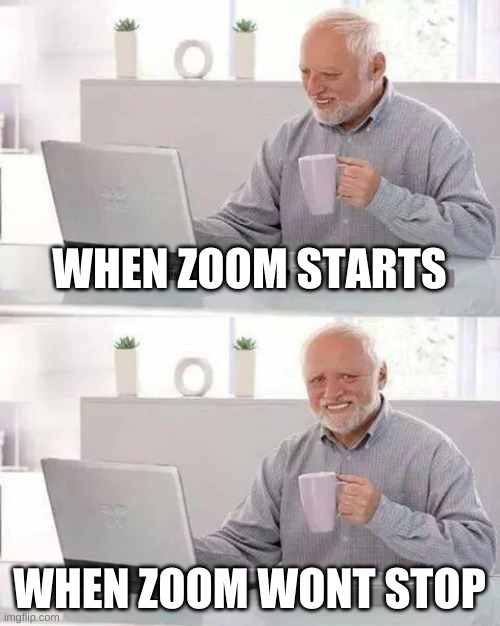 Hide the Pain Harold | WHEN ZOOM STARTS; WHEN ZOOM WONT STOP | image tagged in memes,hide the pain harold | made w/ Imgflip meme maker