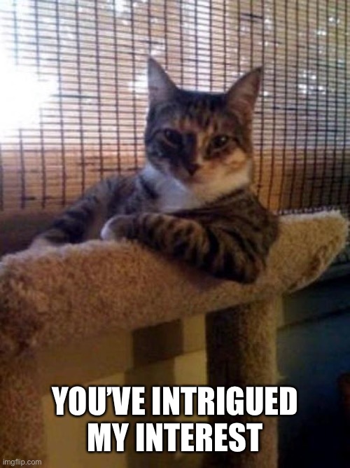 The Most Interesting Cat In The World Meme | YOU’VE INTRIGUED MY INTEREST | image tagged in memes,the most interesting cat in the world | made w/ Imgflip meme maker