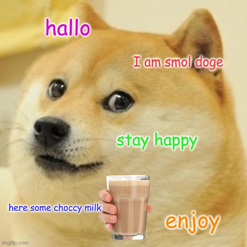 dog | hallo; I am smol doge; stay happy; here some choccy milk; enjoy | image tagged in memes,doge | made w/ Imgflip meme maker