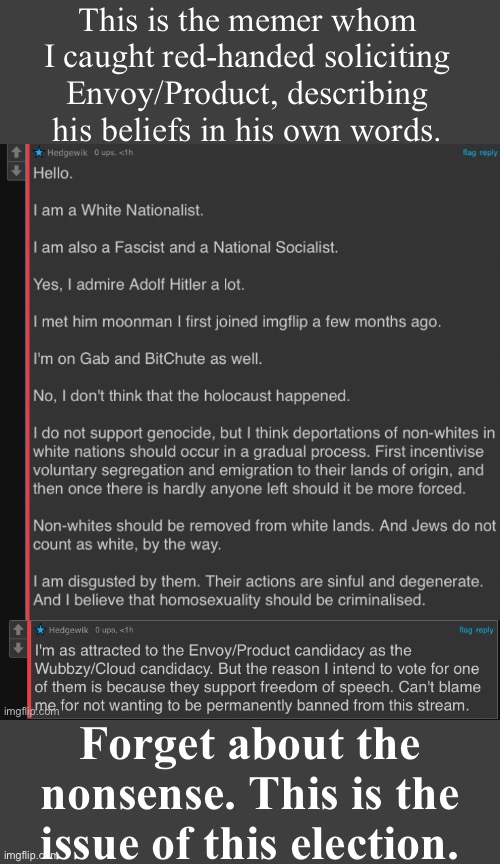Neo-Nazis who meet on Imgflip, who deepen and espouse their beliefs on Imgflip & this stream. That’s the issue of this election. | This is the memer whom I caught red-handed soliciting Envoy/Product, describing his beliefs in his own words. Forget about the nonsense. This is the issue of this election. | image tagged in neo-nazis,nazis,meanwhile on imgflip,white nationalism,imgflip trolls | made w/ Imgflip meme maker