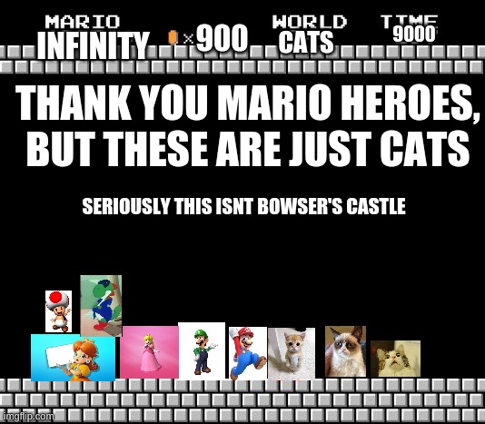 Thank You Mario But These Are Just Cats | 900; 9000; INFINITY; CATS; THANK YOU MARIO HEROES, BUT THESE ARE JUST CATS; SERIOUSLY THIS ISNT BOWSER'S CASTLE | image tagged in thank you mario heroes,cats,castle,mario,nintendo,super mario bros | made w/ Imgflip meme maker