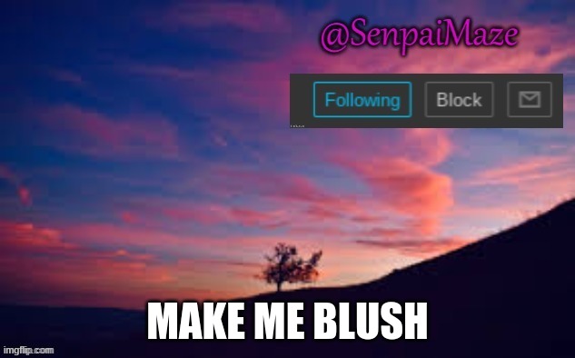 no one can do it lol | MAKE ME BLUSH | image tagged in sunset | made w/ Imgflip meme maker