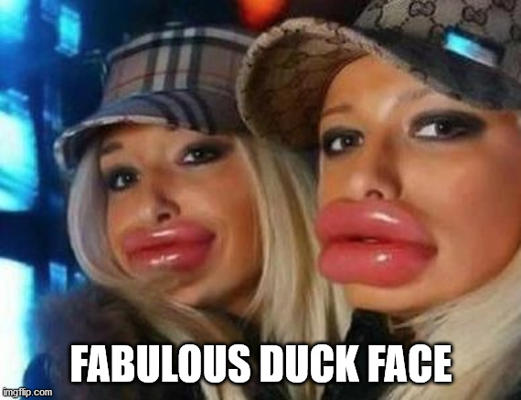 Duck Face Chicks Meme | FABULOUS DUCK FACE | image tagged in memes,duck face chicks | made w/ Imgflip meme maker