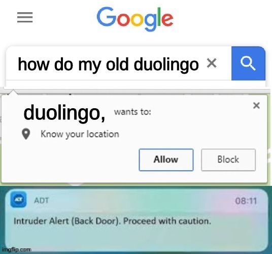 X Wants to know your location intruder alert | how do my old duolingo duolingo, | image tagged in x wants to know your location intruder alert | made w/ Imgflip meme maker
