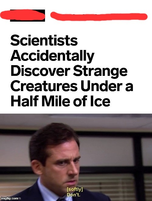 *dont* | image tagged in lol | made w/ Imgflip meme maker