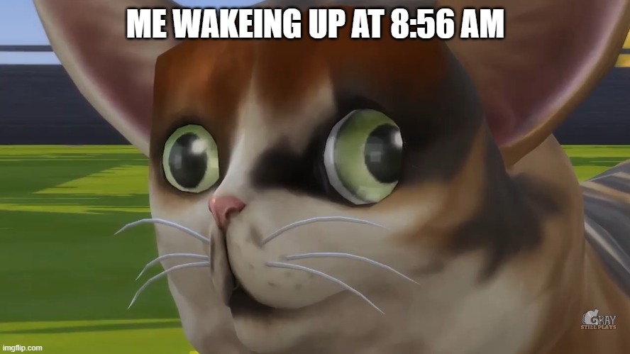 Spleens the cat | ME WAKEING UP AT 8:56 AM | image tagged in spleens the cat | made w/ Imgflip meme maker