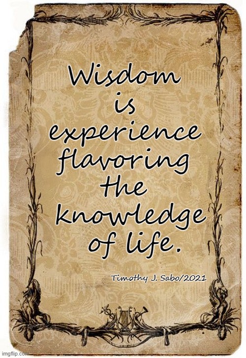 Wisdom quote. | Wisdom 
is 
experience 
flavoring 
the 
knowledge
 of life. Timothy J. Sabo/2021 | image tagged in wisdom,knowledge,life,quotes,experience | made w/ Imgflip meme maker