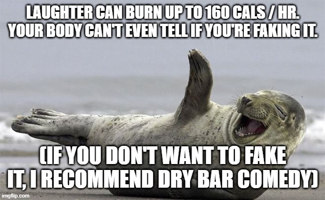 Did you know... | LAUGHTER CAN BURN UP TO 160 CALS / HR. YOUR BODY CAN'T EVEN TELL IF YOU'RE FAKING IT. (IF YOU DON'T WANT TO FAKE IT, I RECOMMEND DRY BAR COMEDY) | image tagged in rofl | made w/ Imgflip meme maker