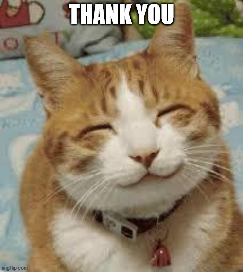 Happy cat | THANK YOU | image tagged in happy cat | made w/ Imgflip meme maker