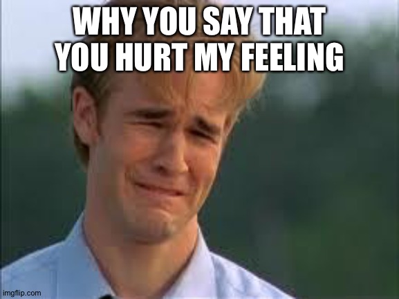 Whiners | WHY YOU SAY THAT YOU HURT MY FEELING | image tagged in whiners | made w/ Imgflip meme maker