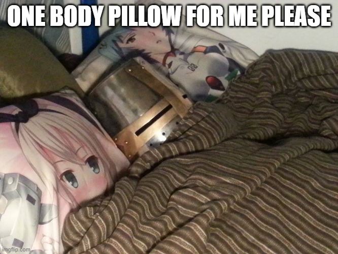 Weeb Crusader | ONE BODY PILLOW FOR ME PLEASE | image tagged in weeb crusader | made w/ Imgflip meme maker