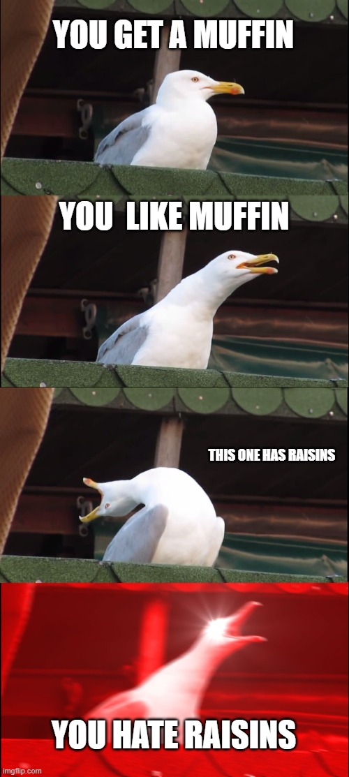 Inhaling Seagull Meme | YOU GET A MUFFIN; YOU  LIKE MUFFIN; THIS ONE HAS RAISINS; YOU HATE RAISINS | image tagged in memes,inhaling seagull | made w/ Imgflip meme maker