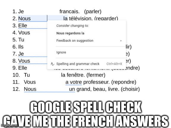 this homework so ez | GOOGLE SPELL CHECK GAVE ME THE FRENCH ANSWERS | image tagged in lol,memes,french,genius | made w/ Imgflip meme maker