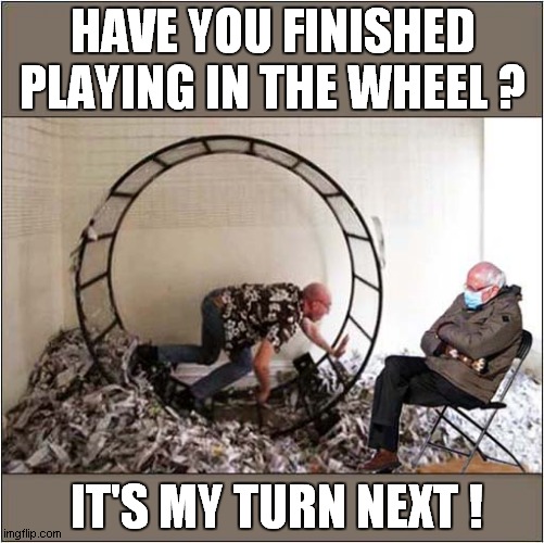 Bernie's Getting Anxious ! | HAVE YOU FINISHED PLAYING IN THE WHEEL ? IT'S MY TURN NEXT ! | image tagged in bernie mittens,bernie,hamster wheel | made w/ Imgflip meme maker