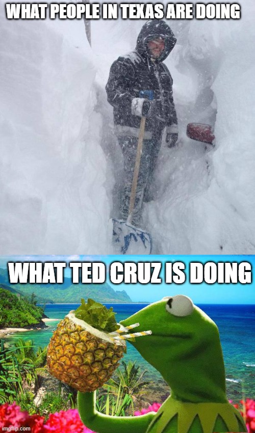 Lol Ted cruz should resign | WHAT PEOPLE IN TEXAS ARE DOING; WHAT TED CRUZ IS DOING | image tagged in snow,vacation kermit | made w/ Imgflip meme maker
