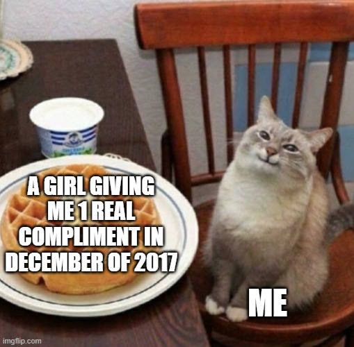 I got other compliments in 2017 but they were all fake | A GIRL GIVING ME 1 REAL COMPLIMENT IN DECEMBER OF 2017; ME | image tagged in cat likes their waffle,boys vs girls,girls vs boys | made w/ Imgflip meme maker