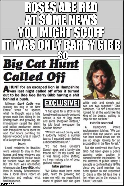 Roses Are Red For Bee Gee ? | ROSES ARE RED; AT SOME NEWS YOU MIGHT SCOFF; IT WAS ONLY BARRY GIBB; SO | image tagged in roses are red,big cat,bee gees,fake news | made w/ Imgflip meme maker