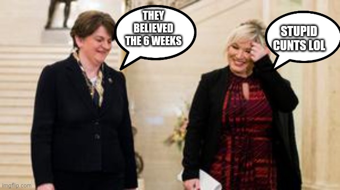 Arlene foster | THEY BELIEVED THE 6 WEEKS; STUPID CUNTS LOL | image tagged in funny | made w/ Imgflip meme maker