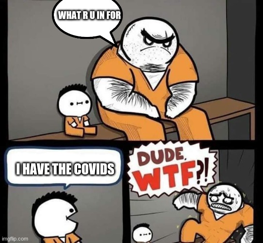 Dude wtf |  WHAT R U IN FOR; I HAVE THE COVIDS | image tagged in dude wtf | made w/ Imgflip meme maker
