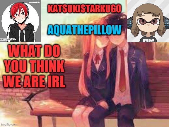 KatsukiStarkugoXAquathepillow | WHAT DO YOU THINK WE ARE IRL | image tagged in katsukistarkugoxaquathepillow | made w/ Imgflip meme maker