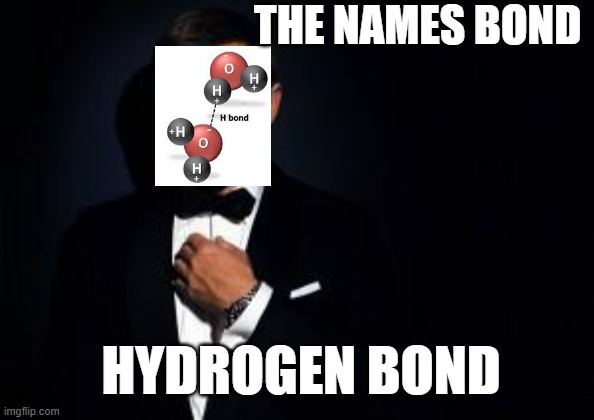 THE NAMES BOND | THE NAMES BOND; HYDROGEN BOND | image tagged in james bond,biology,water,science | made w/ Imgflip meme maker