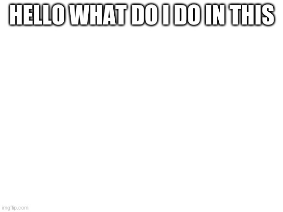 Blank White Template | HELLO WHAT DO I DO IN THIS | image tagged in blank white template | made w/ Imgflip meme maker