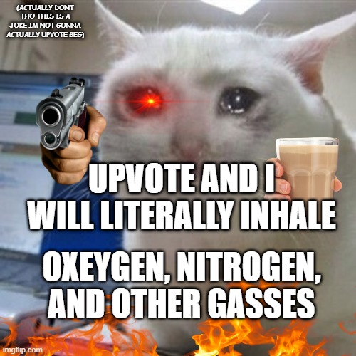 Crying cat | (ACTUALLY DONT THO THIS IS A JOKE IM NOT GONNA ACTUALLY UPVOTE BEG); UPVOTE AND I WILL LITERALLY INHALE; OXEYGEN, NITROGEN, AND OTHER GASSES | image tagged in crying cat | made w/ Imgflip meme maker