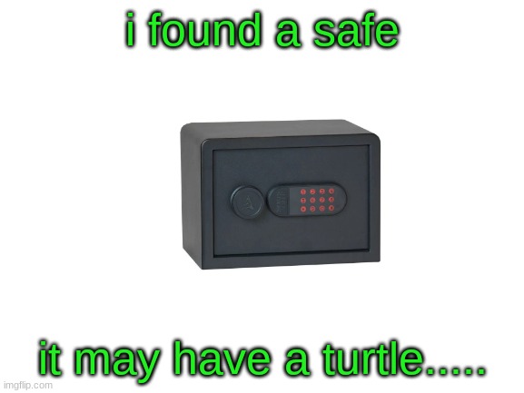 its four ditgit....... guess what the code is? | i found a safe; it may have a turtle..... | image tagged in blank white template,turtle arc | made w/ Imgflip meme maker