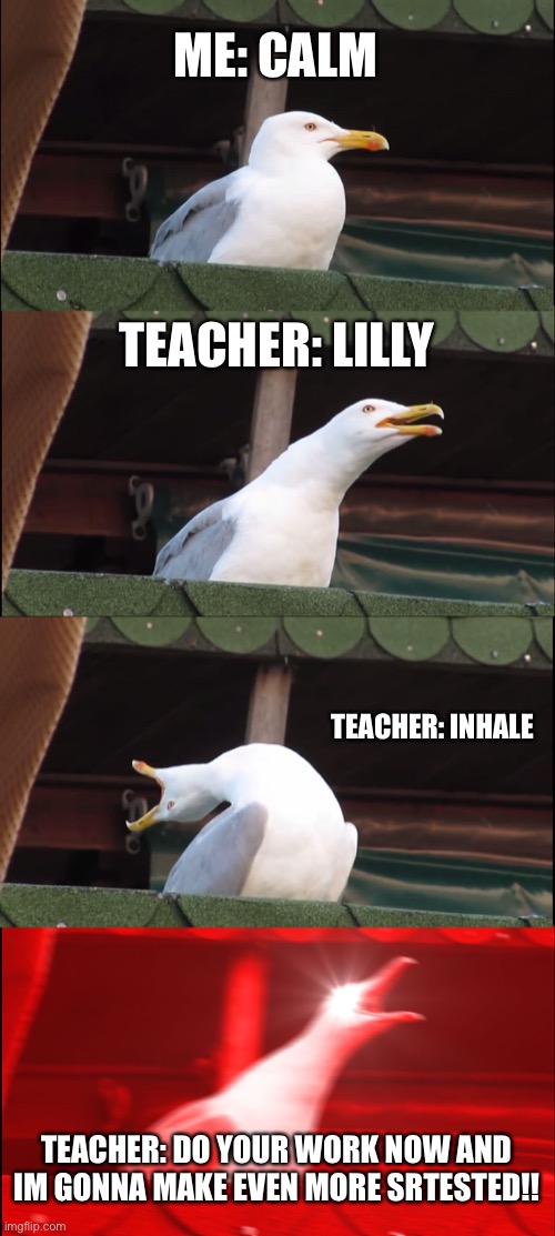 Inhaling Seagull | ME: CALM; TEACHER: LILLY; TEACHER: INHALE; TEACHER: DO YOUR WORK NOW AND IM GONNA MAKE EVEN MORE SRTESTED!! | image tagged in memes,inhaling seagull | made w/ Imgflip meme maker