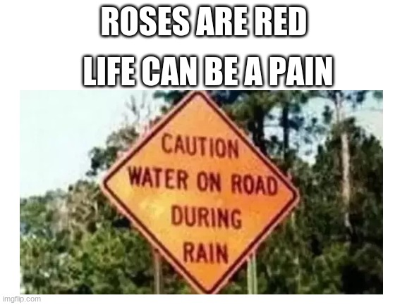 really? | ROSES ARE RED; LIFE CAN BE A PAIN | image tagged in ya don't say | made w/ Imgflip meme maker