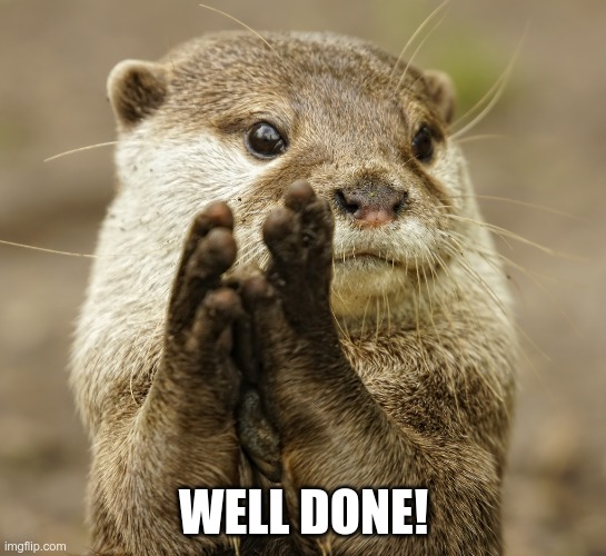 Squirrel Applause | WELL DONE! | image tagged in squirrel applause | made w/ Imgflip meme maker
