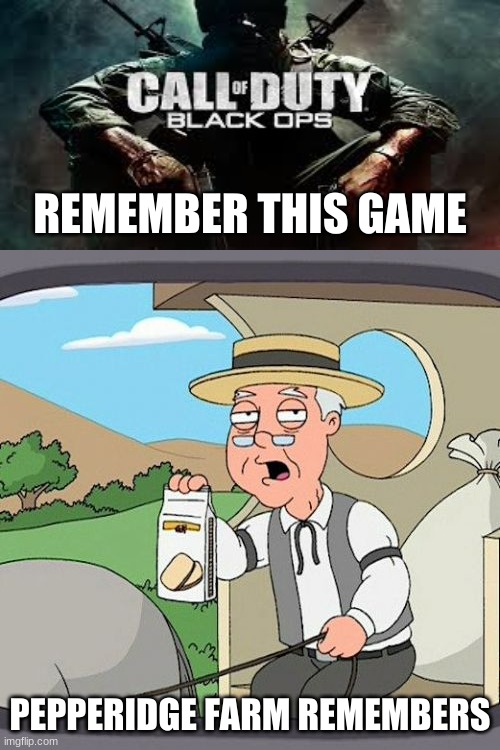 one of if not the BEST first person shooter games | REMEMBER THIS GAME; PEPPERIDGE FARM REMEMBERS | image tagged in memes,pepperidge farm remembers,call of duty | made w/ Imgflip meme maker
