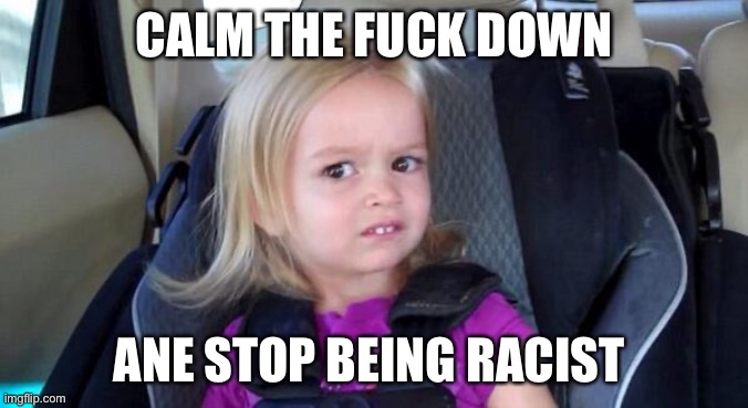 wtf girl | CALM THE FUCK DOWN ANE STOP BEING RACIST | image tagged in wtf girl | made w/ Imgflip meme maker