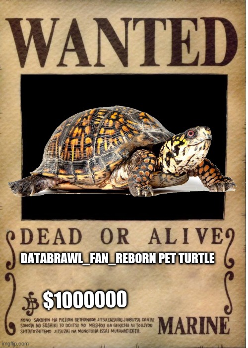 Crusader Stream One Piece Wanted Poster Template Memes Gifs Imgflip