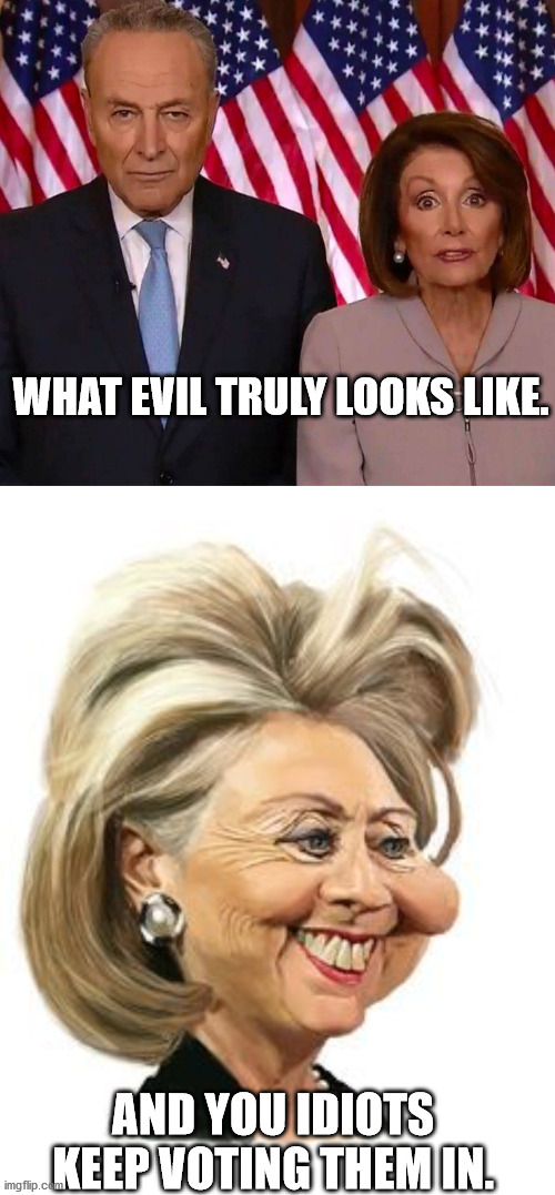 Pelosi and Schumer - Evil Twins | WHAT EVIL TRULY LOOKS LIKE. AND YOU IDIOTS KEEP VOTING THEM IN. | image tagged in nancy pelosi,chuck schumer,hillary clinton,evil,trump,joe biden | made w/ Imgflip meme maker