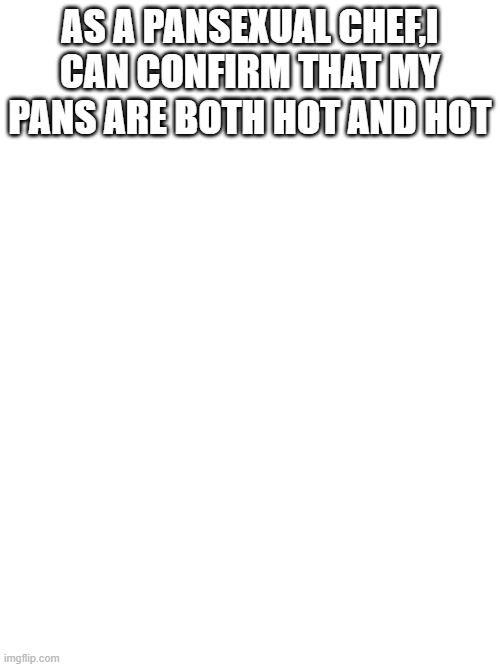 LGBTQ Puns Day 6 | AS A PANSEXUAL CHEF,I CAN CONFIRM THAT MY PANS ARE BOTH HOT AND HOT | made w/ Imgflip meme maker