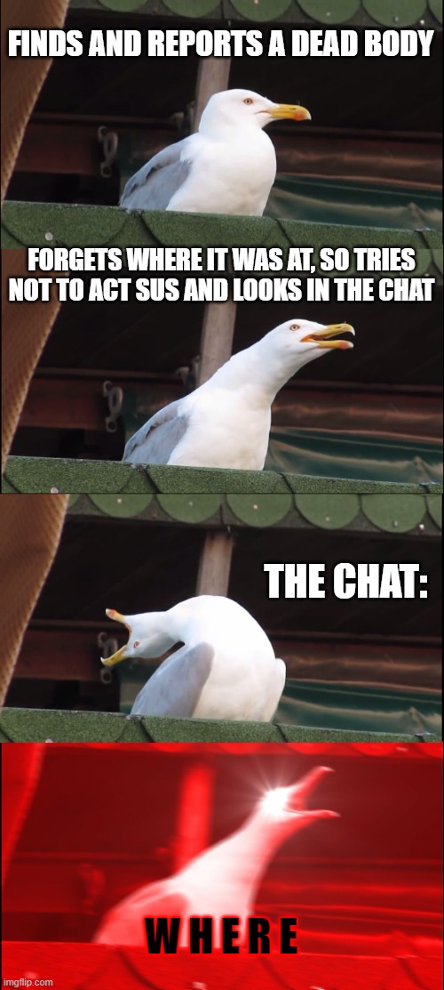 Inhaling Seagull | FINDS AND REPORTS A DEAD BODY; FORGETS WHERE IT WAS AT, SO TRIES NOT TO ACT SUS AND LOOKS IN THE CHAT; THE CHAT:; W H E R E | image tagged in memes,inhaling seagull | made w/ Imgflip meme maker