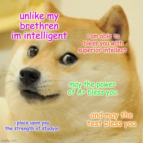 Doge | unlike my brethren im intelligent; i am able to bless you with superior intellect; may the power of A+ bless you; and may the test bless you; i place upon you the strength of studyin | image tagged in memes,doge | made w/ Imgflip meme maker