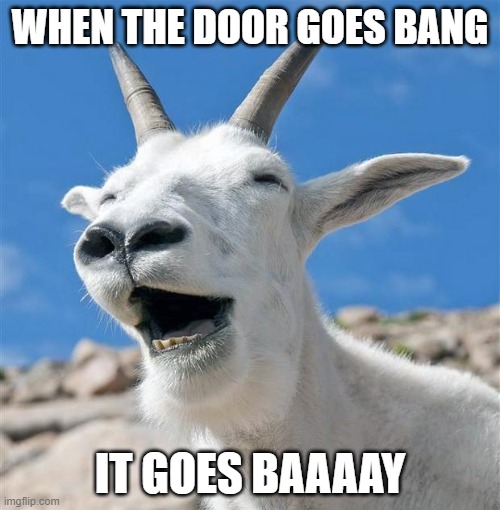 Laughing Goat | WHEN THE DOOR GOES BANG; IT GOES BAAAAY | image tagged in memes,laughing goat | made w/ Imgflip meme maker