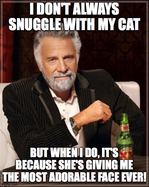 Snuggles! | I DON'T ALWAYS SNUGGLE WITH MY CAT; BUT WHEN I DO, IT'S BECAUSE SHE'S GIVING ME THE MOST ADORABLE FACE EVER! | image tagged in memes,the most interesting man in the world,cats,snuggles | made w/ Imgflip meme maker