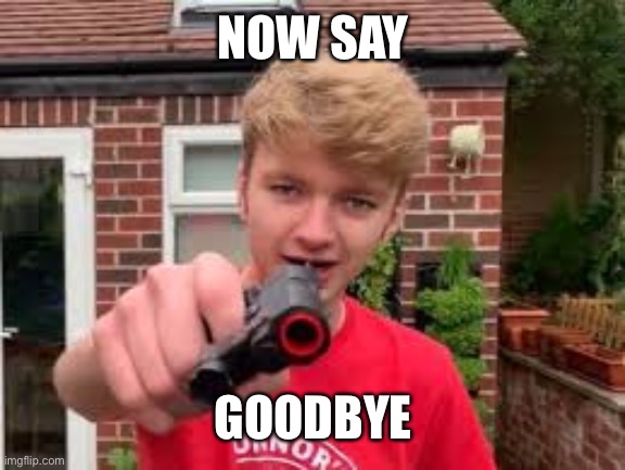 Tommyinit say goodbye |  NOW SAY; GOODBYE | image tagged in memes | made w/ Imgflip meme maker