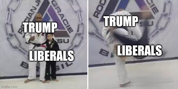 Always give it your all | TRUMP; TRUMP; LIBERALS; LIBERALS | image tagged in always give it your all | made w/ Imgflip meme maker