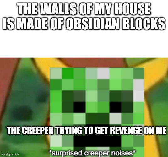 Creeper | THE WALLS OF MY HOUSE IS MADE OF OBSIDIAN BLOCKS; THE CREEPER TRYING TO GET REVENGE ON ME | image tagged in surprised creeper | made w/ Imgflip meme maker