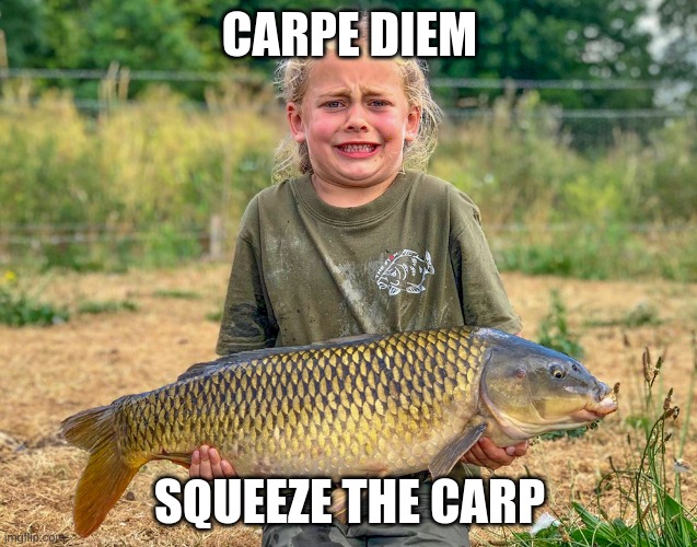 Fishy Inspiration | CARPE DIEM; SQUEEZE THE CARP | image tagged in funny,fishing,fish,motivational | made w/ Imgflip meme maker