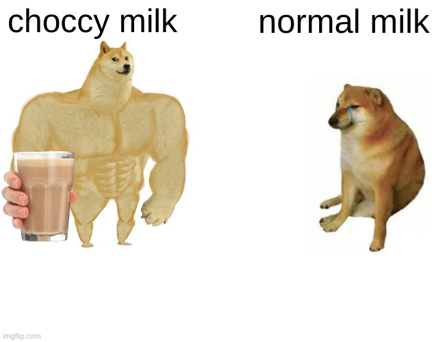 choccy milk =good | choccy milk; normal milk | image tagged in memes,buff doge vs cheems | made w/ Imgflip meme maker