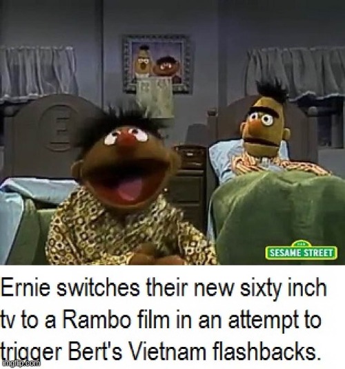 F L A S H B A C K S | ERNIE SWITCHES THEIR NEW SIXTY INCH TV TO A RAMBO FILM IN AN ATTEMPT TO TRIGGER BERT'S VIETNAM FLASHBACKS. | image tagged in sesame street | made w/ Imgflip meme maker