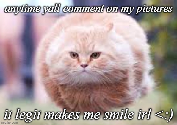 yall make me rlly happy qmq | anytime yall comment on my pictures; it legit makes me smile irl <:) | image tagged in wheee | made w/ Imgflip meme maker