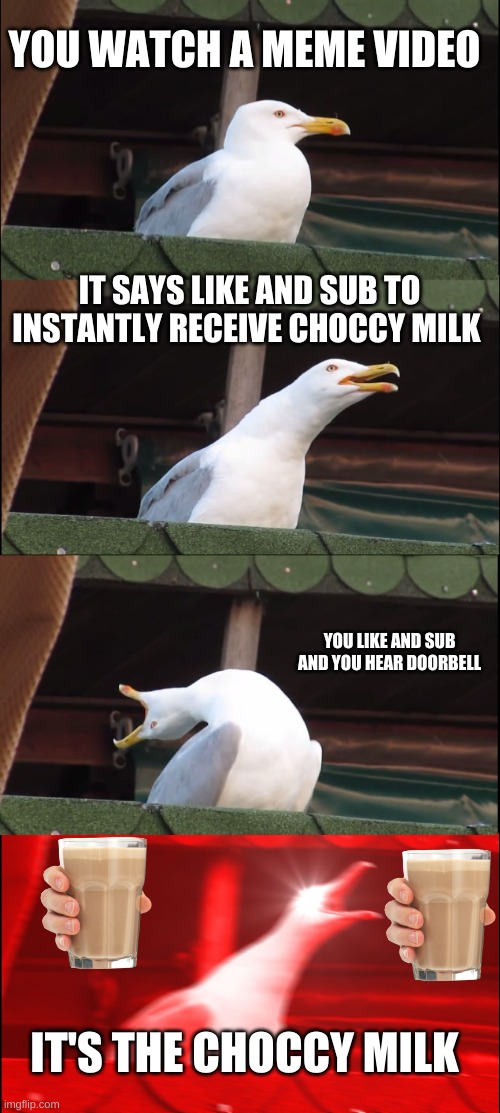 like and sub for choccy milk | YOU WATCH A MEME VIDEO; IT SAYS LIKE AND SUB TO INSTANTLY RECEIVE CHOCCY MILK; YOU LIKE AND SUB AND YOU HEAR DOORBELL; IT'S THE CHOCCY MILK | image tagged in memes,inhaling seagull | made w/ Imgflip meme maker